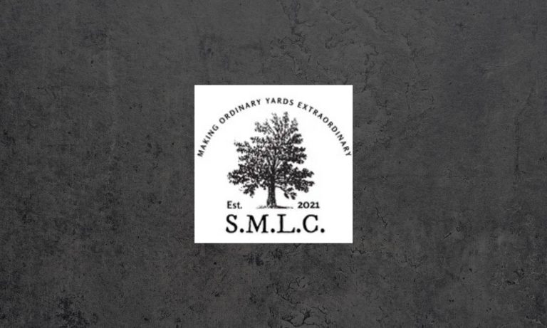 logo 1 768x461
