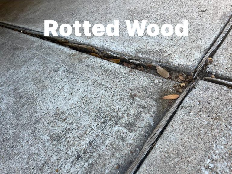 480177869 613955318227435 1967440238555138255 n 768x576