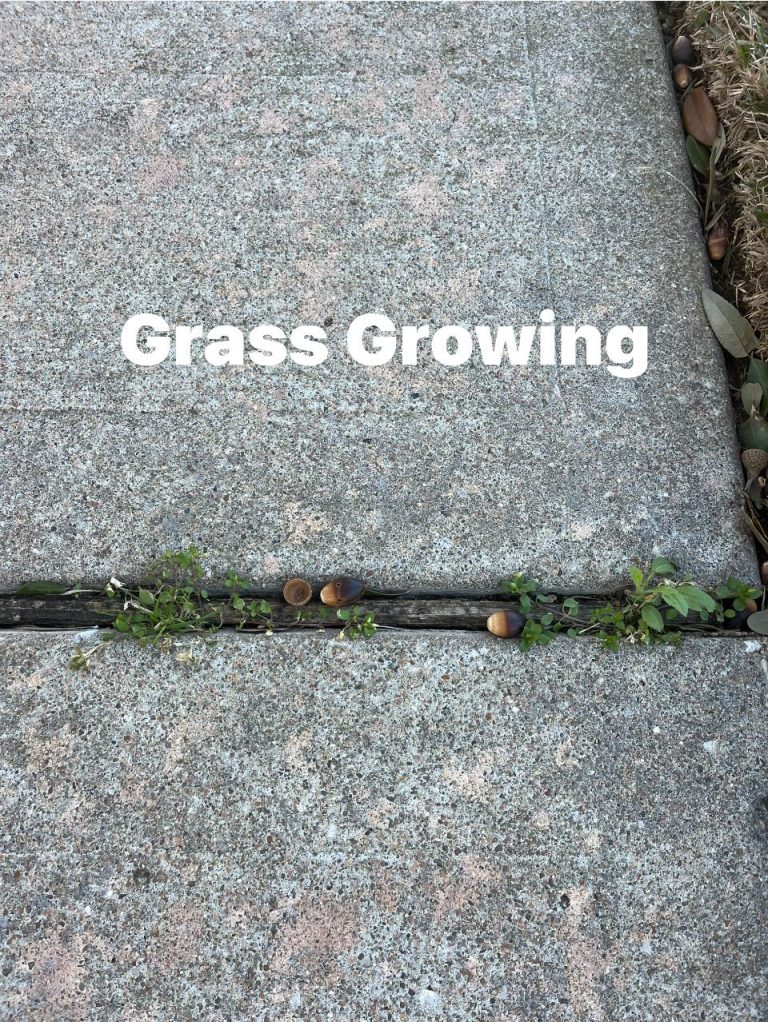 480678332 613955221560778 5855199990095977142 n 768x1022