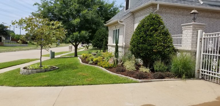 52723229 2231425566880678 8760405460340703232 n 768x373