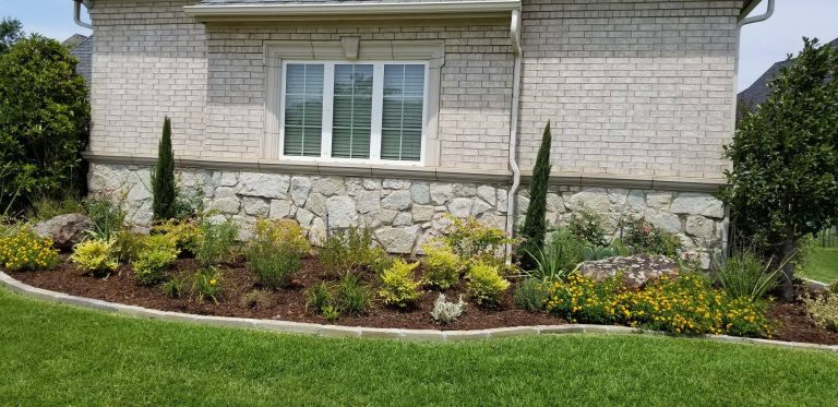 52823425 2231422730214295 6380614972694593536 n 768x373