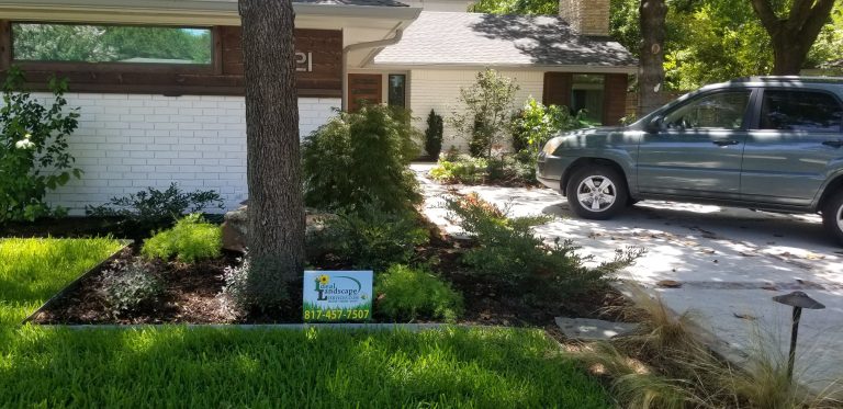 52825756 2231456516877583 7973458694551633920 n 768x373