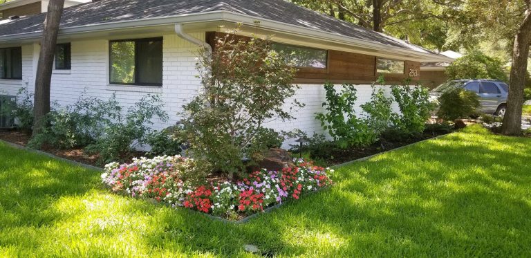 52908604 2231456600210908 3994515044946673664 n 768x373