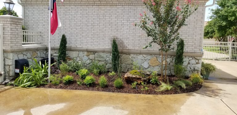 53336717 2231425743547327 8010030710444261376 n 768x373