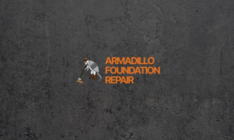 armadillo foundation logo 1 768x461